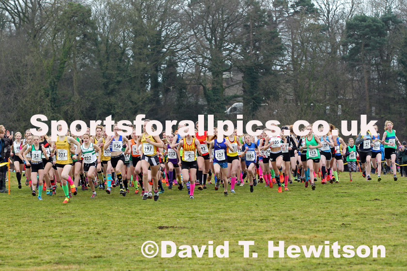 Girls under-13s Northern Cross Country Champs., Camp Hill Estate, Kirklington.  Photo: David T. Hewitson/Sports for All Pics